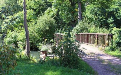 03-Hermannsmuehle-Garten-02
