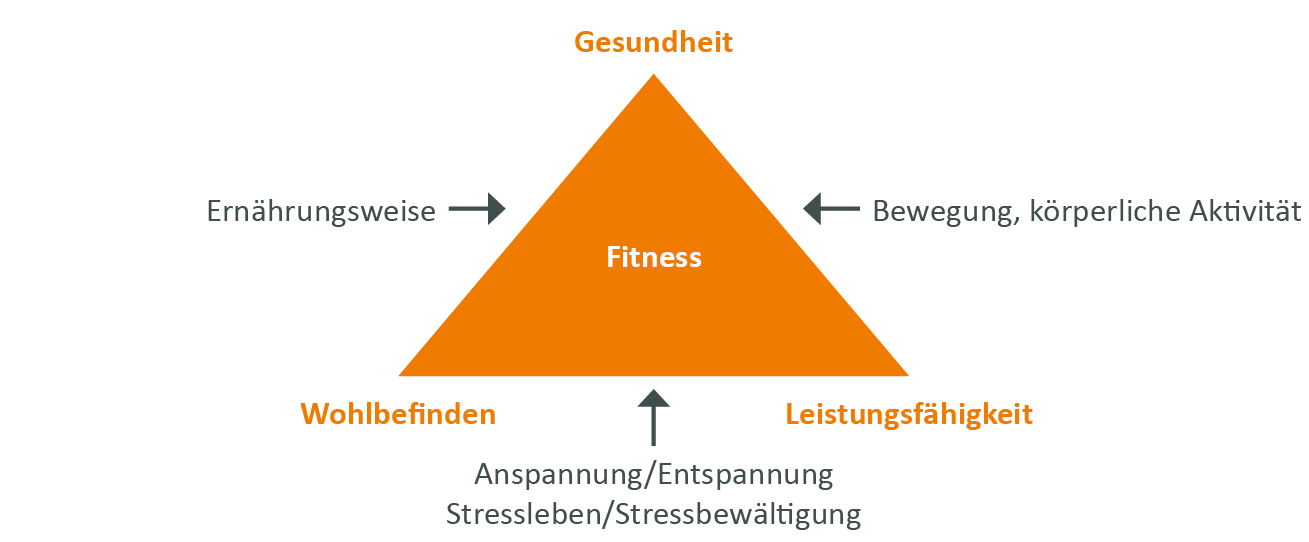150424 Grafik Beziehungsgefuege Der Fitness