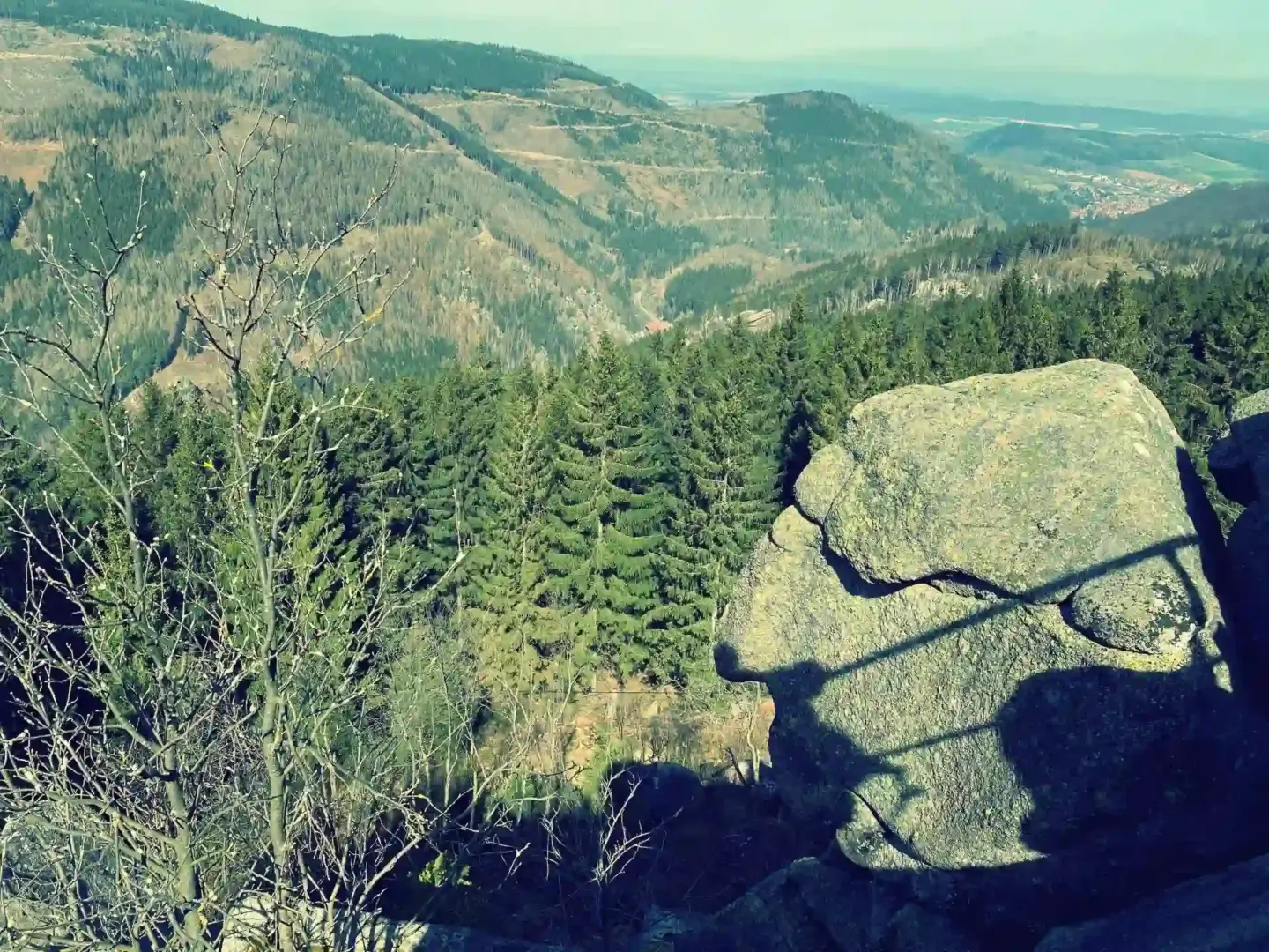 Harz Seela