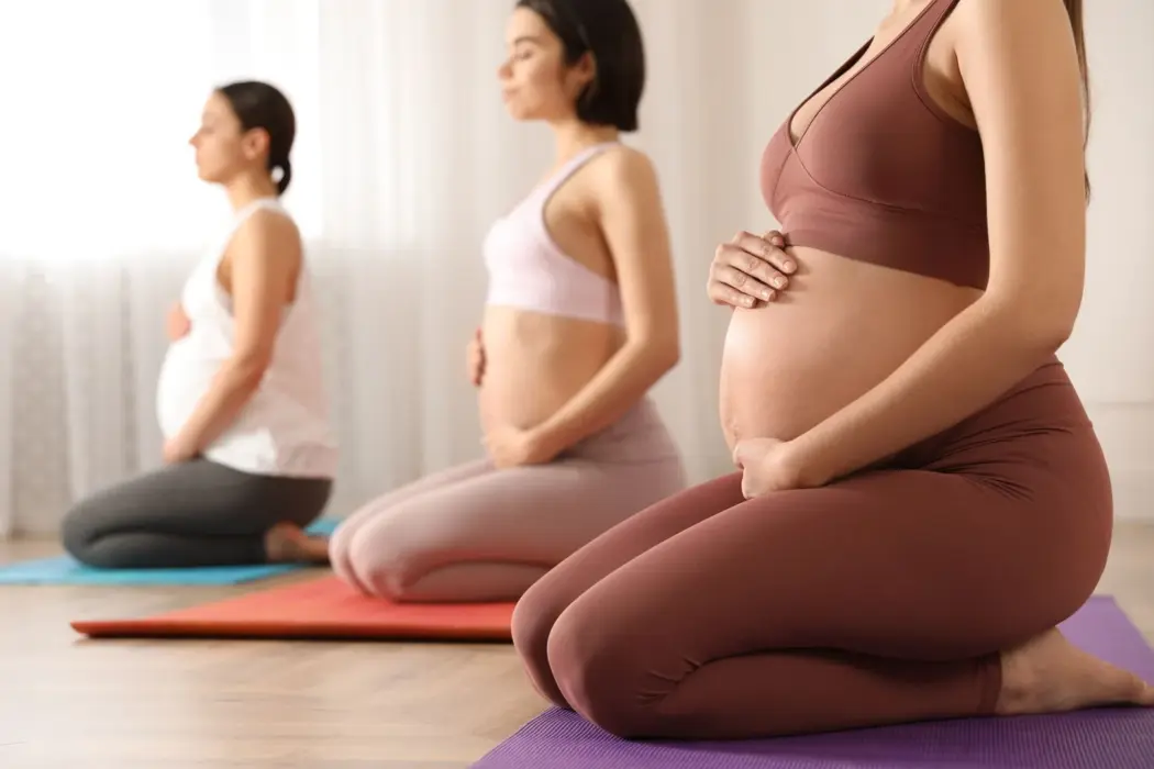Programmeinweisung Hatha Yoga Fuer Schwangere