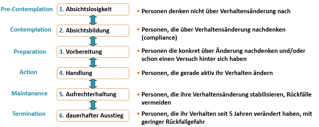 Stadienmodell Ausschnitt