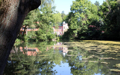 tuer-blick-vor-die-tuer-21